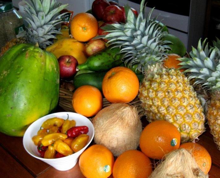 Aroha Taveuni Beachfront Bures Waiyevo Екстериор снимка